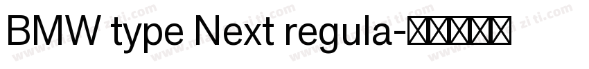 BMW type Next regula字体转换